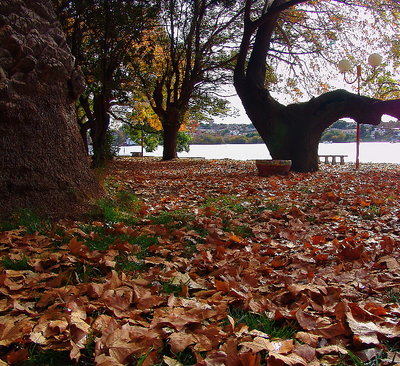 Autumn in Patagonia