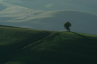 Minimal Landscape...