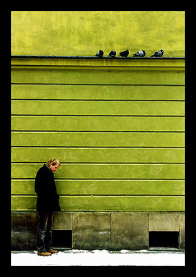 A man & 5 pigeons