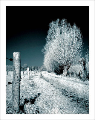 Bright path
