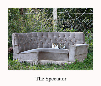 The Spectator