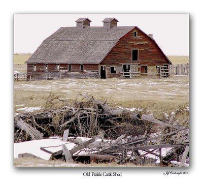 Old Prairie Cattle Shed