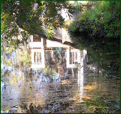 Reflections in South Carolina