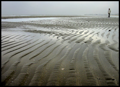 winter and sea