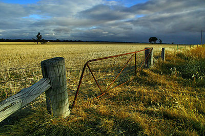 Hay Days...