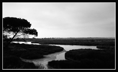 Ria Formosa - IV (B&W)