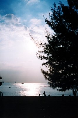 The Sea