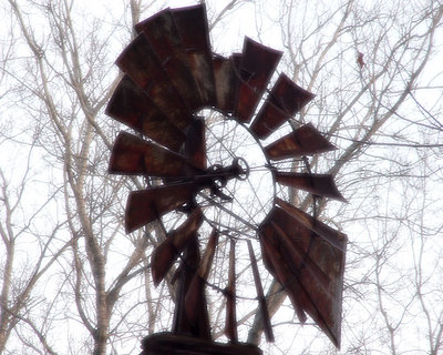 Winter Wind
