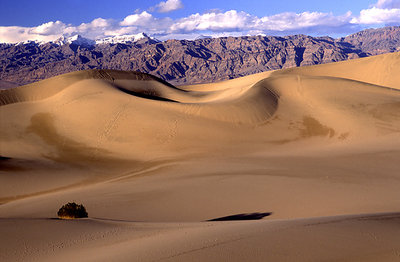 Death Valley Dunes #5