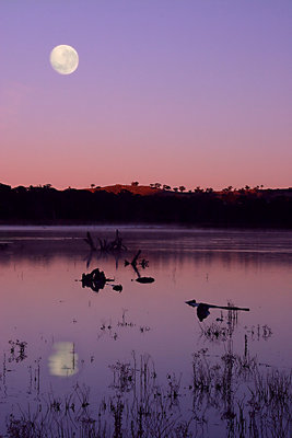 Moonset at Sunrise