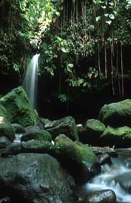 Emerald Pool