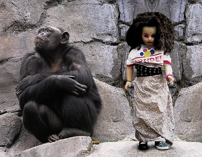 Doll and chimp