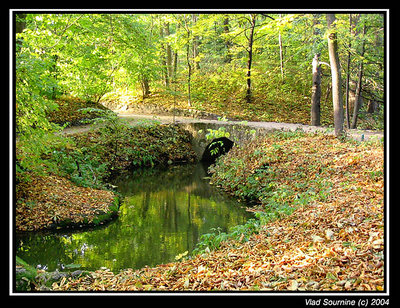 Bridge from autumn