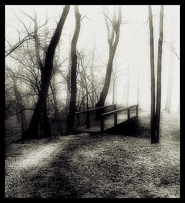 footbridge and fog