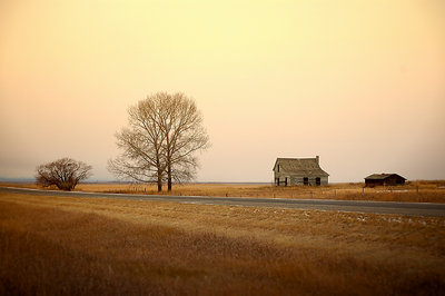 Prairie Solitude #8