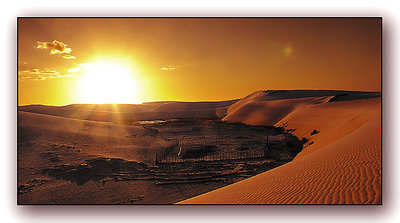 Dunes and Sun 