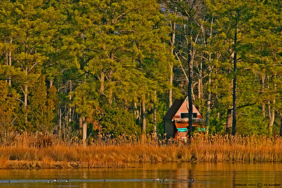 House In The Woods