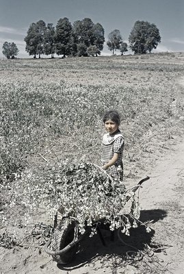 Girl with Flowers