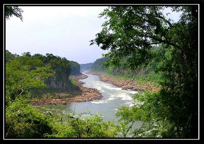 Rio Iguaçu