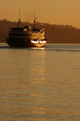 ferry to manly