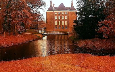 Colorful autumn