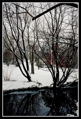 A Winter Landscape - III