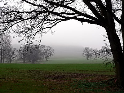 misty landscape
