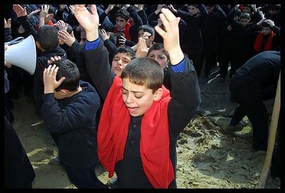 Turkey's Shi'ites
