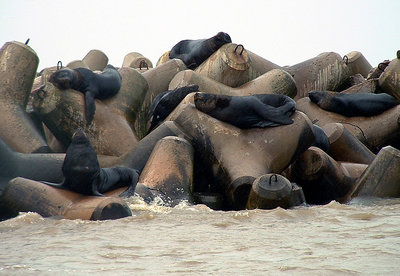 Sossego dos Gigantes