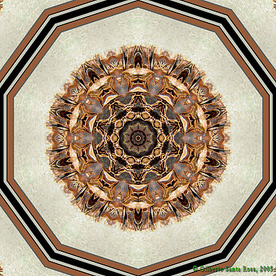 Pine mandala
