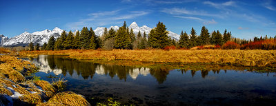 Teton Reflection