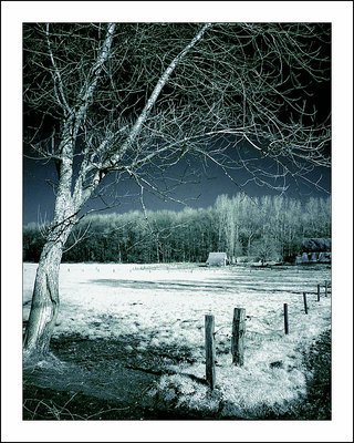 My land II