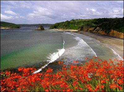 Ringa Ringa Bay Stewart Island