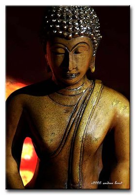 BUDDHA MOMENT
