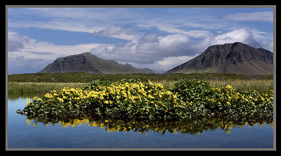 This is Iceland 