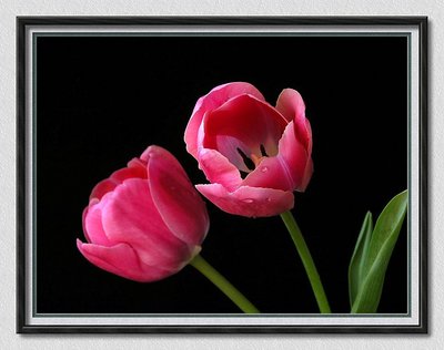 colours of spring