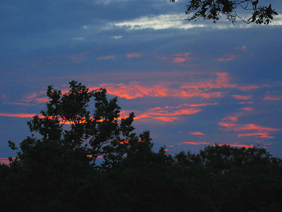 Vineyard sky