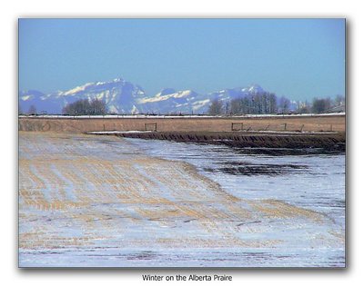 Winter on the Alberta Prairie