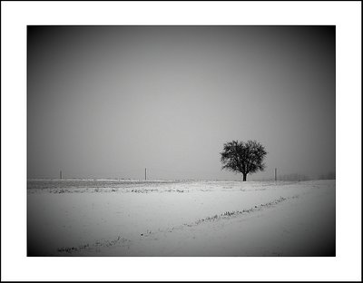 winter | silence | #2 -