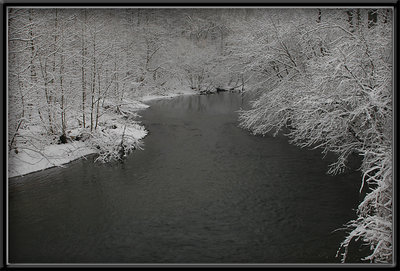 Winter at the Park