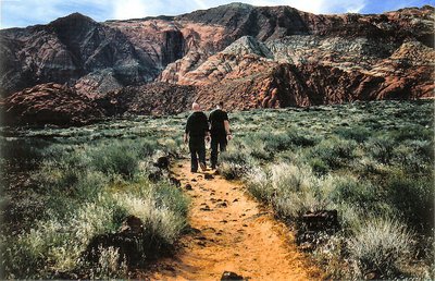 Brothers Walking