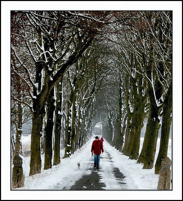 Take the dog out for an walk