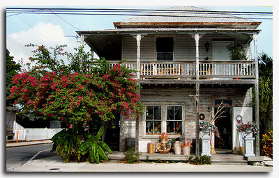 The Flower Shop