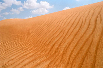 Arabian desert 