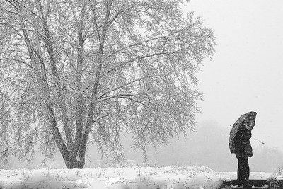 fotografare la neve