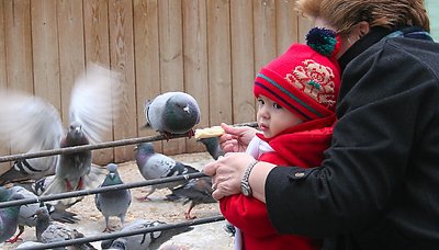 The baby and the doves