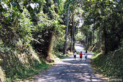 Caminhada na Cantareira