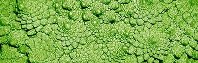 Romanesca no 1