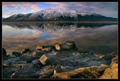 Morning Reflection