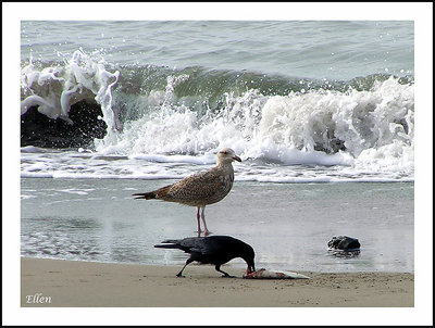 Sharing the fish